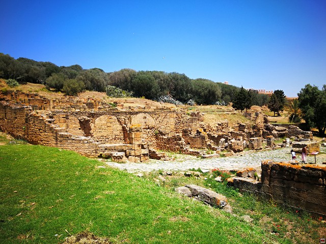 img00012.jpg
