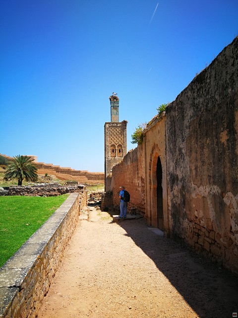 img00014.jpg