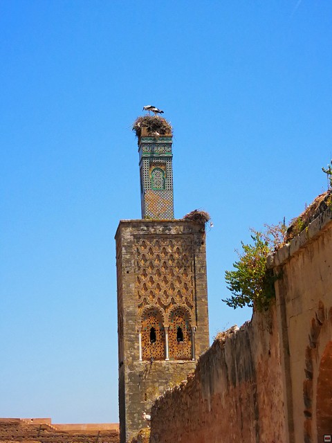 img00015.jpg