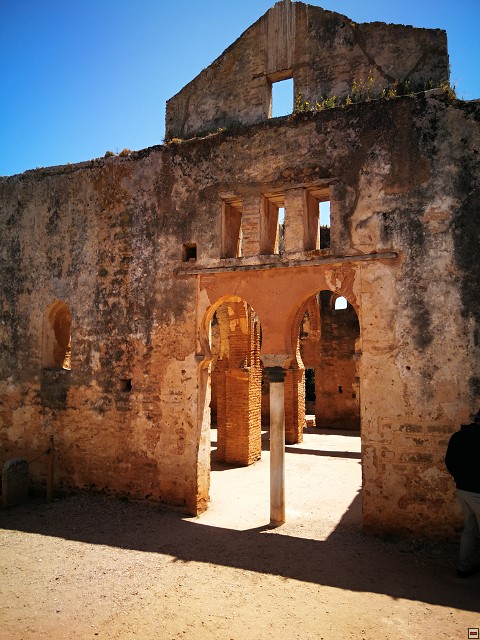 img00016.jpg