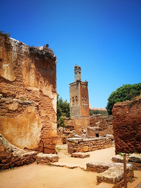 img00020.jpg
