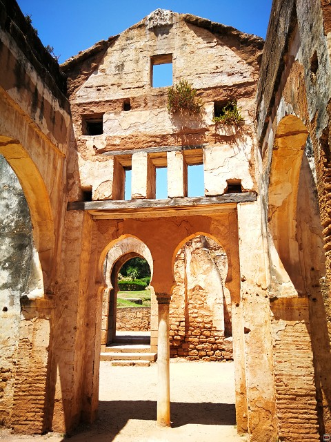 img00023.jpg