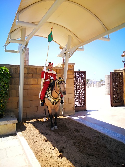 img00024.jpg