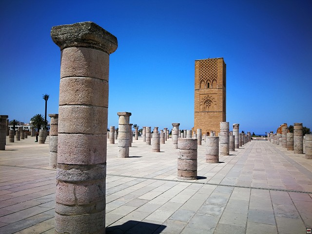 img00029.jpg