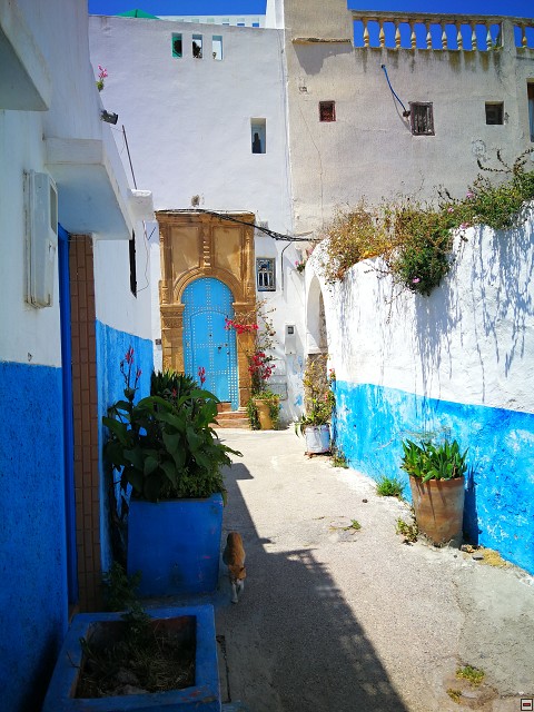 img00036.jpg
