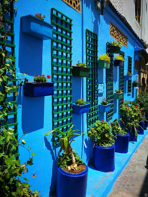 img00037.jpg