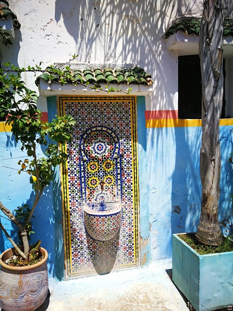 img00039.jpg