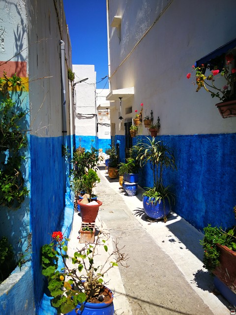 img00040.jpg