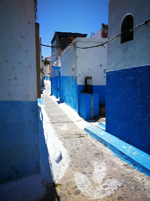 img00041.jpg