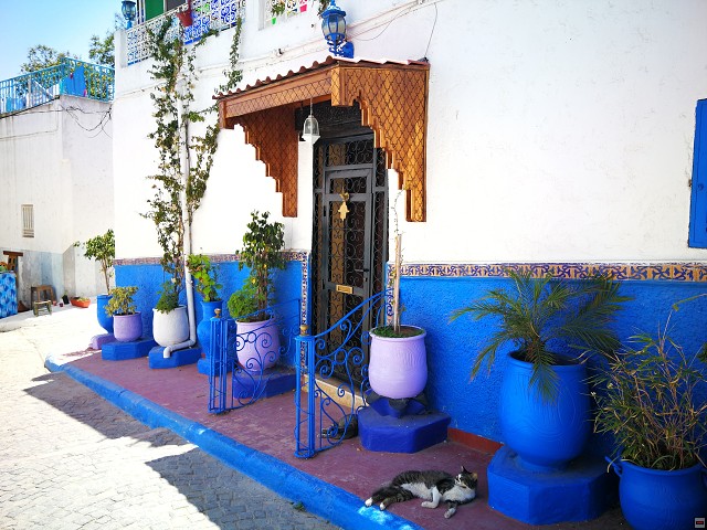 img00042.jpg