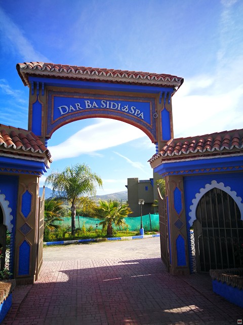 img00005.jpg
