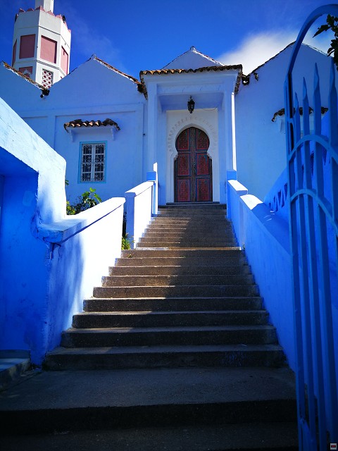 img00008.jpg