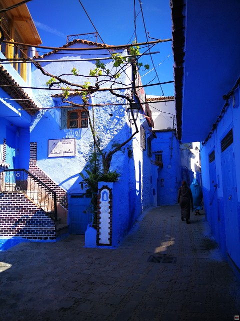 img00011.jpg