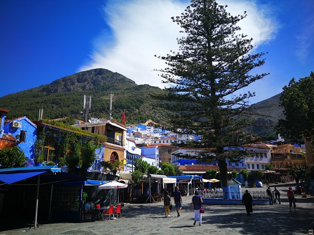 img00015.jpg