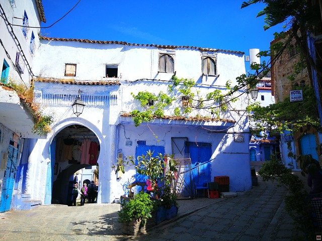 img00019.jpg