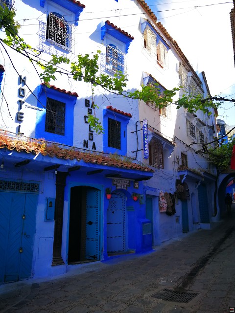 img00022.jpg