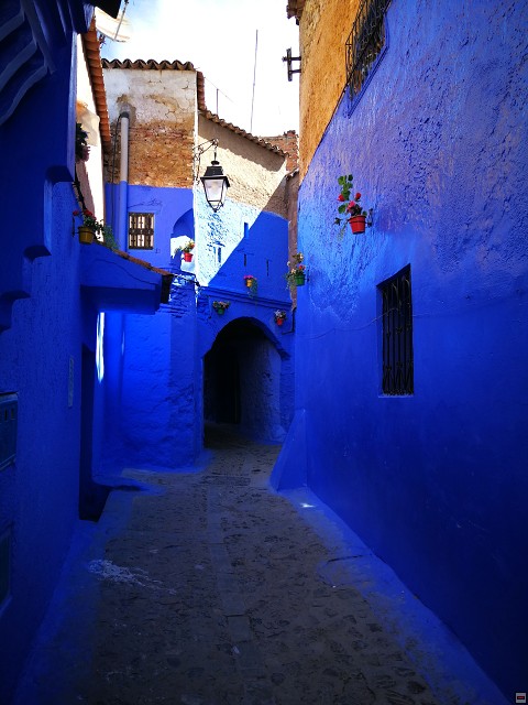 img00024.jpg