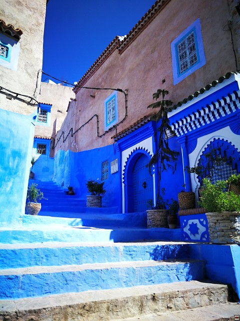 img00029.jpg