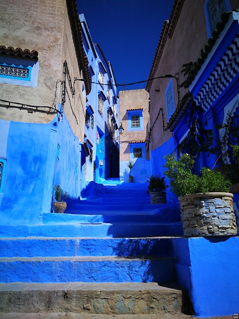 img00030.jpg