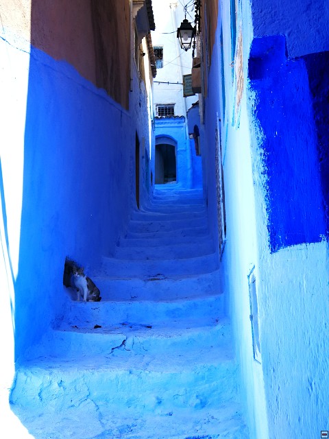 img00031.jpg