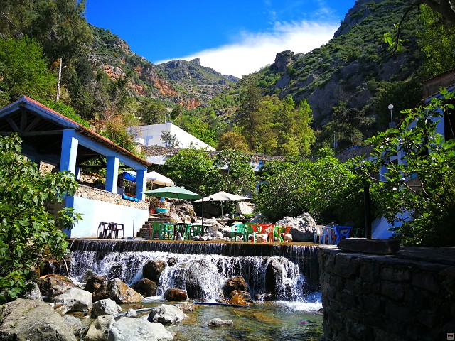img00033.jpg
