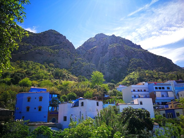 img00034.jpg