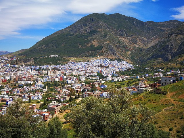 img00038.jpg
