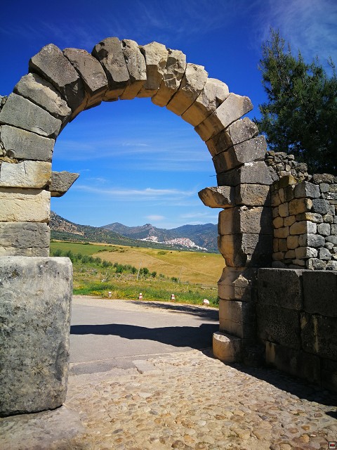img00040.jpg