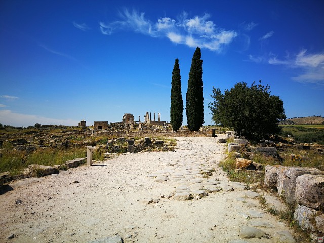 img00042.jpg