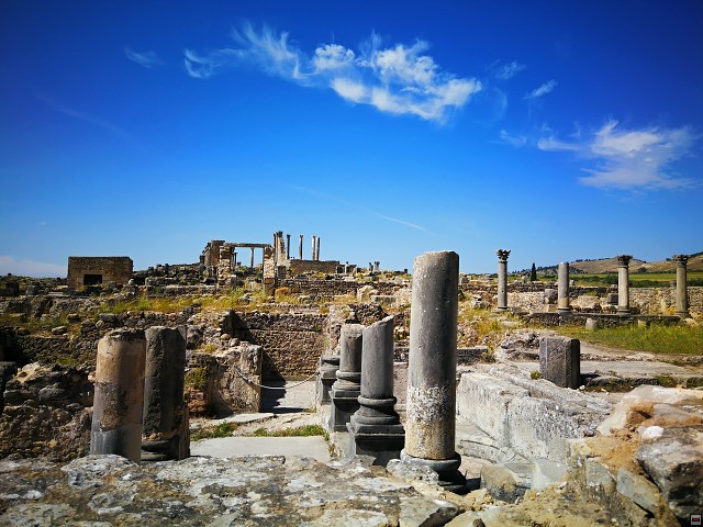 img00043.jpg