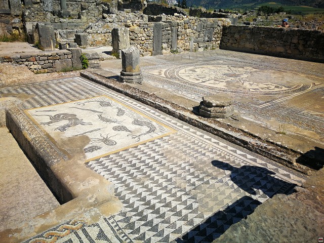 img00046.jpg