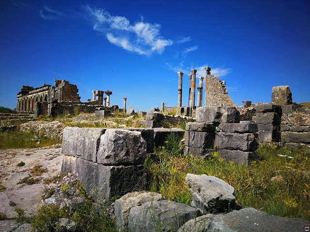 img00048.jpg