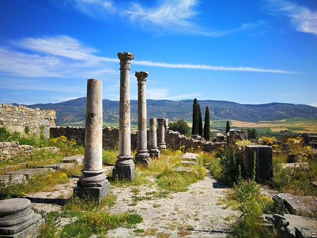 img00049.jpg