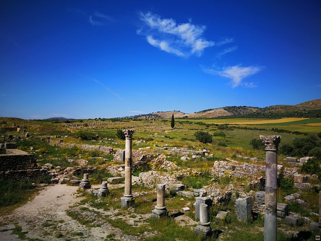 img00051.jpg