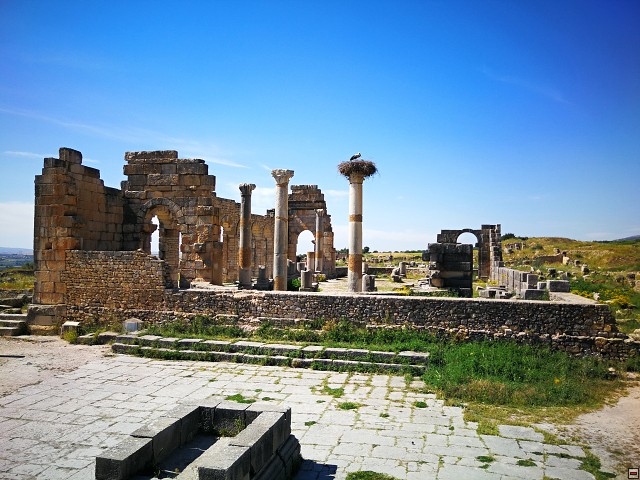 img00052.jpg