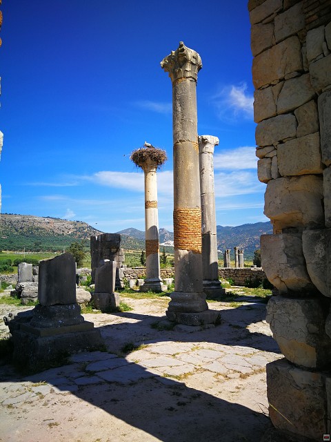 img00053.jpg