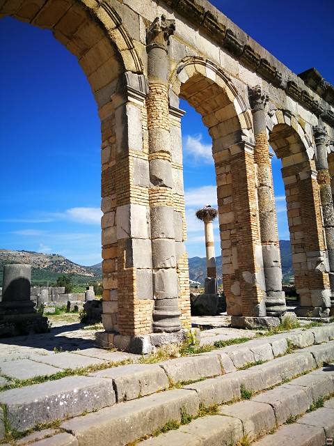 img00055.jpg