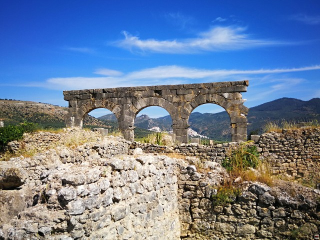 img00059.jpg