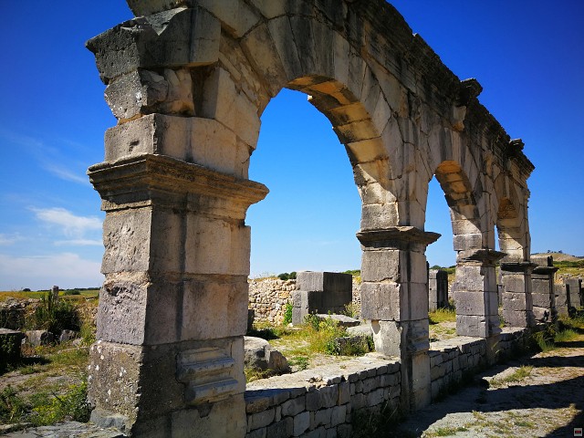 img00061.jpg