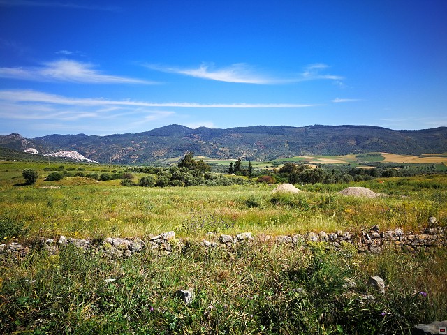 img00062.jpg