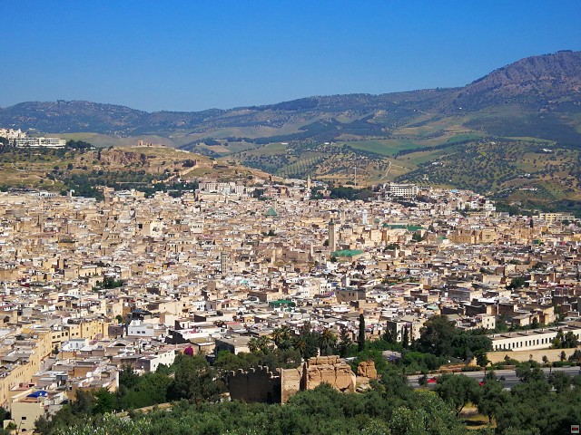 img00005.jpg