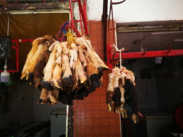 img00016.jpg