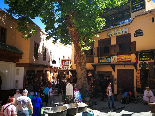 img00030.jpg