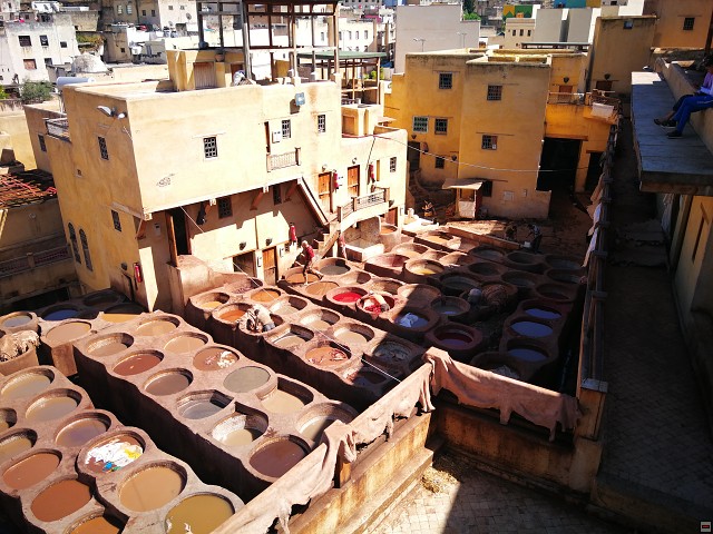 img00038.jpg