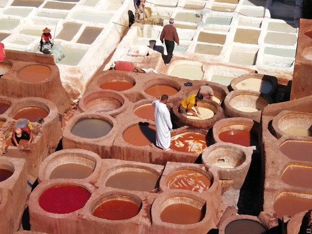 img00039.jpg