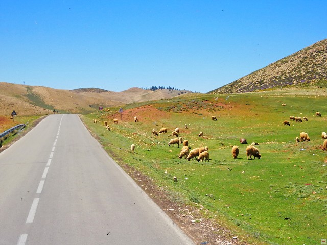 img00004.jpg