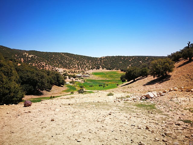 img00006.jpg