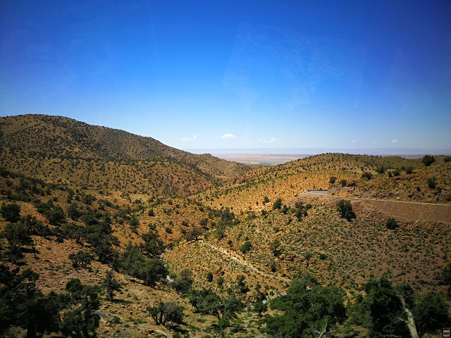 img00013.jpg