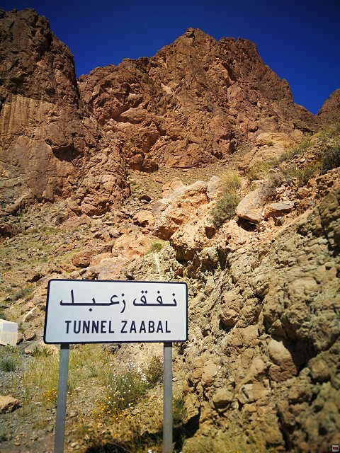 img00016.jpg