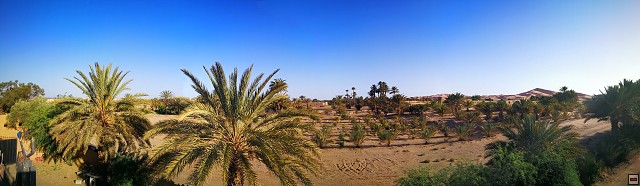 img00004.jpg